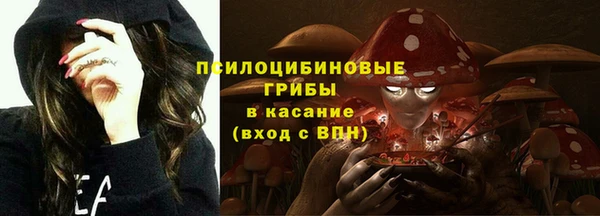спиды Арсеньев