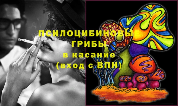 спиды Арсеньев